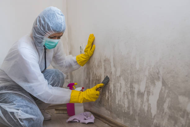 Best Water Damage Restoration  in Augusta, ME