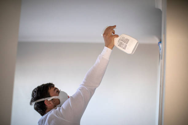Best Office Mold Removal Services  in Augusta, ME
