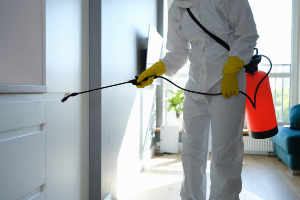 Best Affordable Mold Removal  in Augusta, ME
