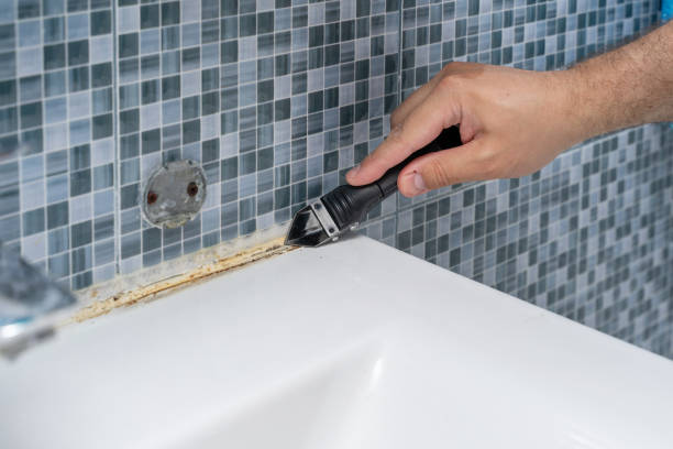 Best Mold Testing  in Augusta, ME